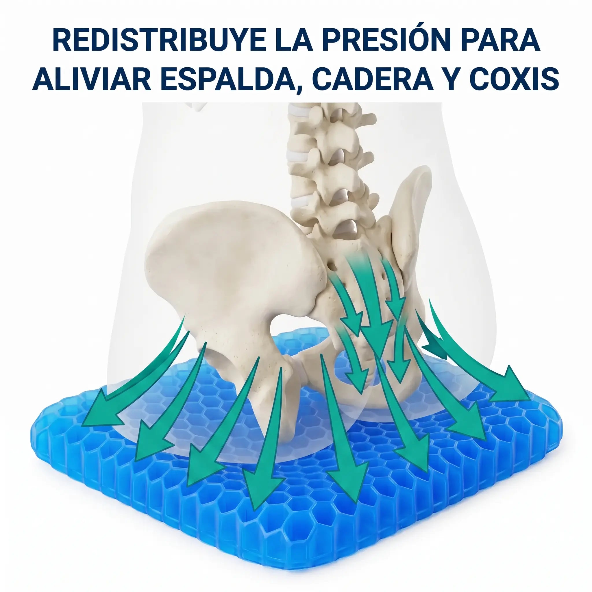 Relivo™ - Siéntate sin dolor, horas seguidas